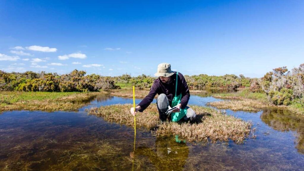 Environmental Consultant