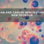 Chitosan and Cancer Immunotherapy: A New Frontier