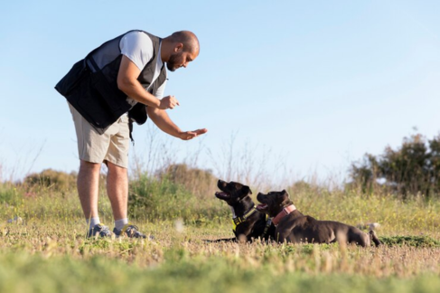 Common Myths Stopping From Choosing Dog Behaviour Training Course