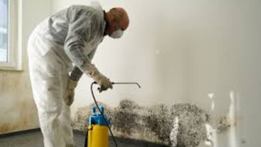 How Ice Blasting Mold Removal in NJ Guarantees Transparent Costs