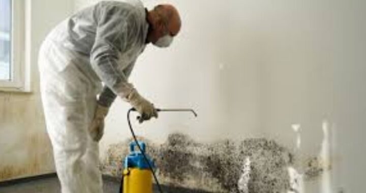 How Ice Blasting Mold Removal in NJ Guarantees Transparent Costs